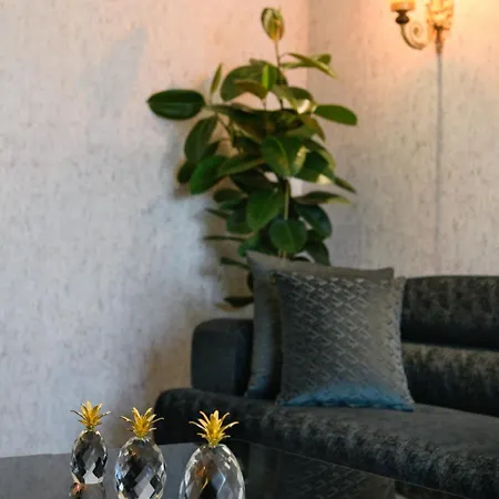 酒店 Five Diamonds 阿拉恰特